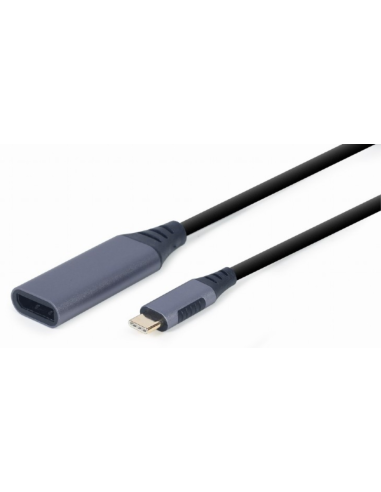 ADAPTADOR GEMBIRD USB TIPO C A DISPLAYPORT MACHO, GRIS ESPACIAL