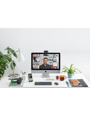 CAMARA WEBCAM LOGITECH HD C505E 960-001372
