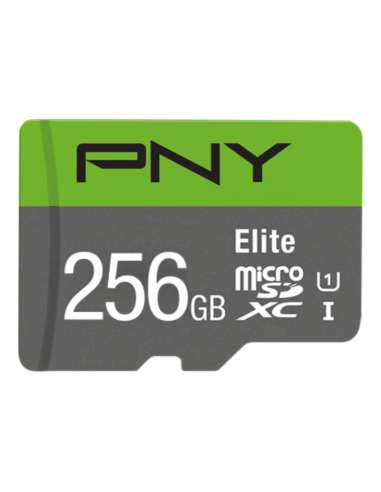 MICRO SD PNY 256GB ELITE UHS-I C10 R100