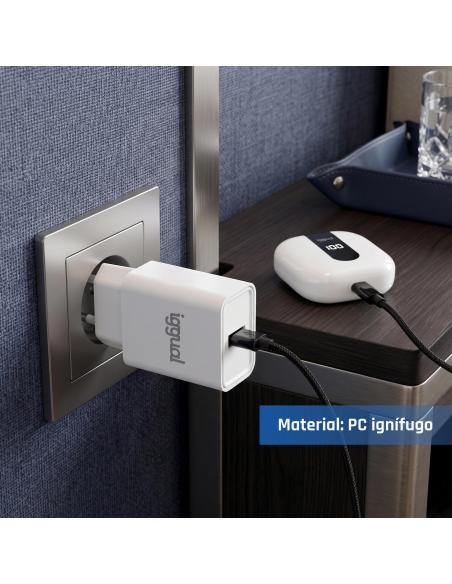 Iggual cargador de pared 1xusb-a 5v/2.4a (12w)