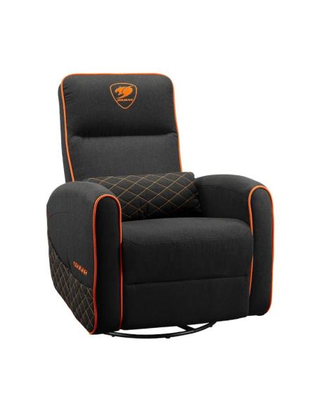Cougar sillon fidom