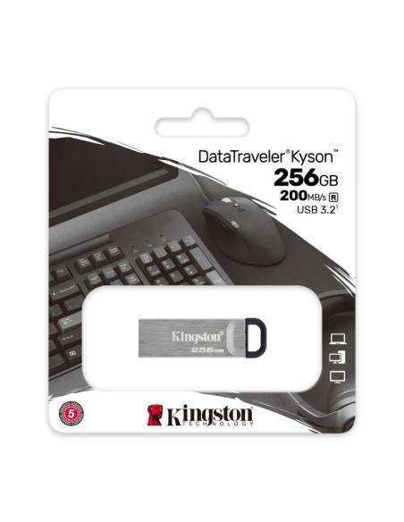 Kingston datatraveler dtkn 256gb usb 3.2 gen1 plat