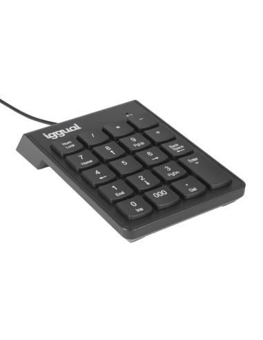 Iggual teclado numérico usb ck-num-19t negro