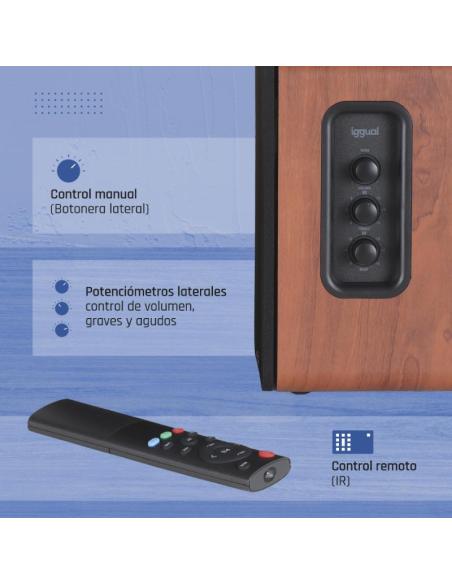 Iggual altavoces 2.0 50w bluetooth 5.3 home studio