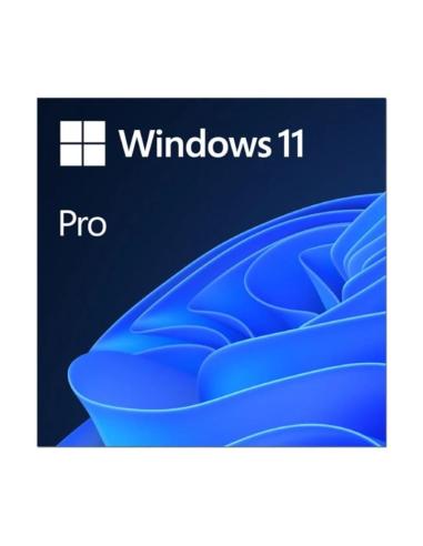 Microsoft windows 11 pro 64b esd