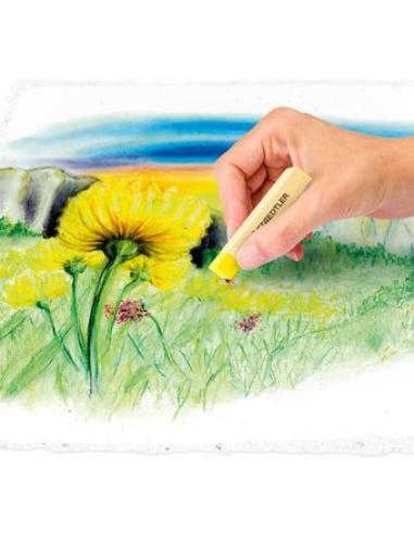Staedtler 2430 Pintura al pastel Suave Multicolor 12 pieza(s)