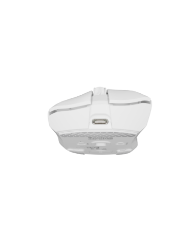 GENESIS Zircon 880 ratón Juego mano derecha RF Wireless + Bluetooth + USB Type-C Óptico 12000 DPI