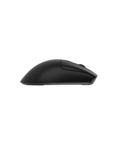 GENESIS Zircon 880 ratón Juego mano derecha RF Wireless + Bluetooth + USB Type-C Óptico 12000 DPI