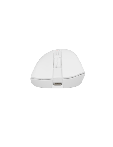 GENESIS Zircon 880 Pro ratón Juego mano derecha RF Wireless + Bluetooth + USB Type-C Óptico 30000 DPI