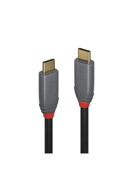 Lindy 36904 cable USB USB 3.2 Gen 2 (3.1 Gen 2) 3 m USB C 10 Gbit/s 100 W Negro