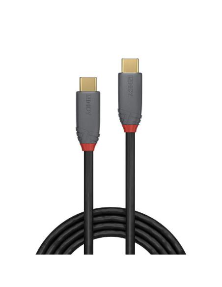 Lindy 36904 cable USB USB 3.2 Gen 2 (3.1 Gen 2) 3 m USB C 10 Gbit/s 100 W Negro