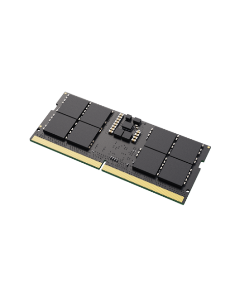 Lexar LD5S08G56C46ST-BGS módulo de memoria 8 GB 1 x 8 GB DDR5 262-pin SO-DIMM