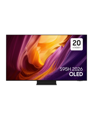Samsung TQ48S95HAEXXC Televisor
