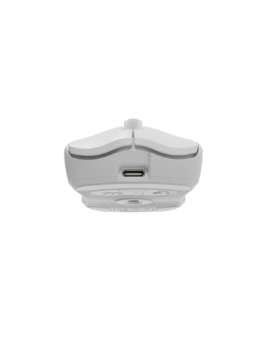 GENESIS Zircon 500 ratón Juego mano derecha RF Wireless + Bluetooth + USB Type-C Óptico 10000 DPI