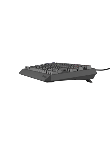 GENESIS Thor 230 TKL teclado Juego USB QWERTY Español Negro