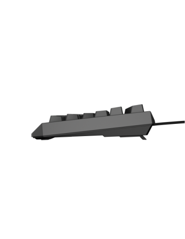 GENESIS Thor 230 TKL teclado Juego USB QWERTY Español Negro
