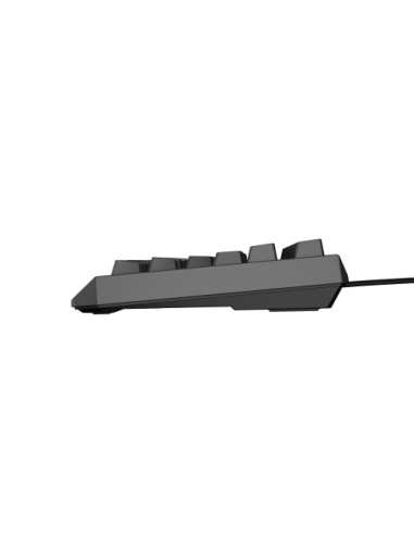 GENESIS Thor 230 TKL teclado Juego USB QWERTY Español Negro