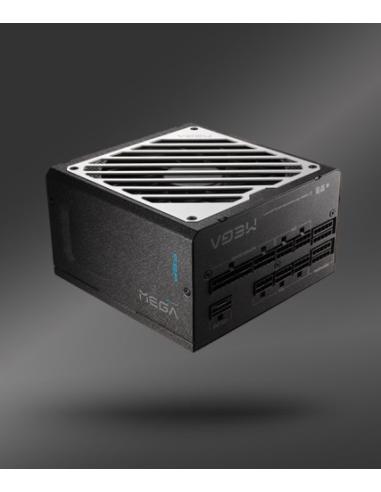 FSP MEGA-1000GM unidad de fuente de alimentación 1000 W ATX Negro
