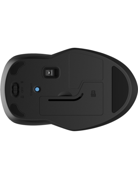 HP Ratón dual 250