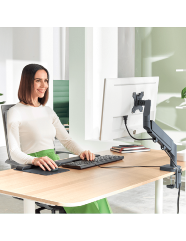 BRAZO PARA UN MONITOR ERGO SPACESAVING COLOR GRIS OSCURO LEITZ 64890089