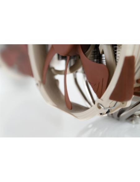 NOCTUA COOLER CPU NH-D15 MULTISOCKET 2XFAN A15, 6 HEATPIPES DUAL TOWER, 140MM FAN PWM, INTEL LGA1851, LGA1700, LGA1200, LGA1151,