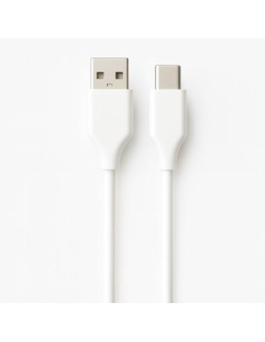 Ewent EC1133 cable USB USB 2.0 2 m USB A USB C Blanco