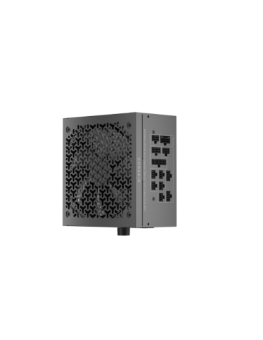 FUENTE ALIMENT. CORSAIR RM1000X SHIFT 80+ GOLD SHIFTED MODULAR 1000 WATT PCIE 5.1 ATX 3.1 CP-9020300-EU