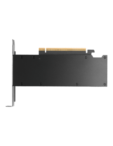 PNY RTX PRO 2000 Blackwell NVIDIA 16 GB GDDR7