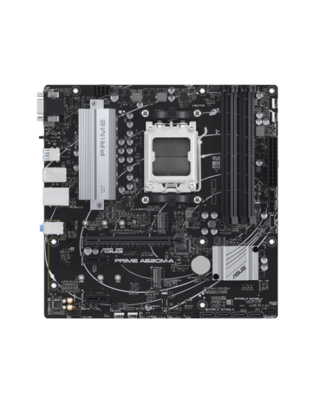 ASUS PRIME A620M-A-CSM AMD A620 Zócalo AM5 micro ATX