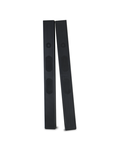 NEC SP-TF1 Negro 30 W