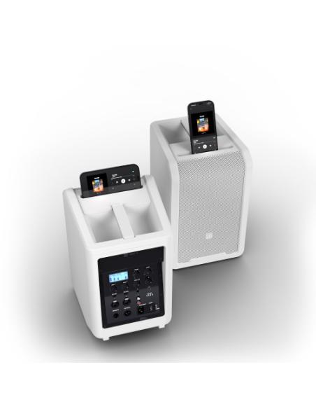 LD Systems LDANNY8W altavoz para sistema de megafonía De 2 vías