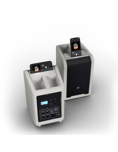 LD Systems LDANNY8G altavoz para sistema de megafonía De 2 vías