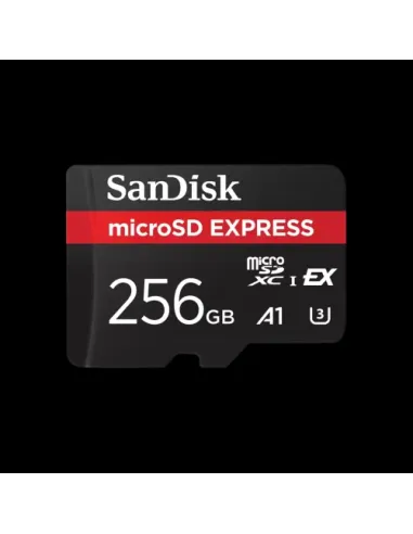 SanDisk Express 256 GB MicroSDXC UHS-I