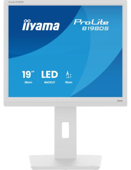 MONITOR IIYAMA 19 PULGADAS,BLANCO, PANEL TN, 3MS, 250CD/M2, 75HZ, AJUSTABLE EN ALTURA, ALTAVOCES,