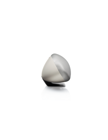 Bowers & Wilkins Zeppelin Gris