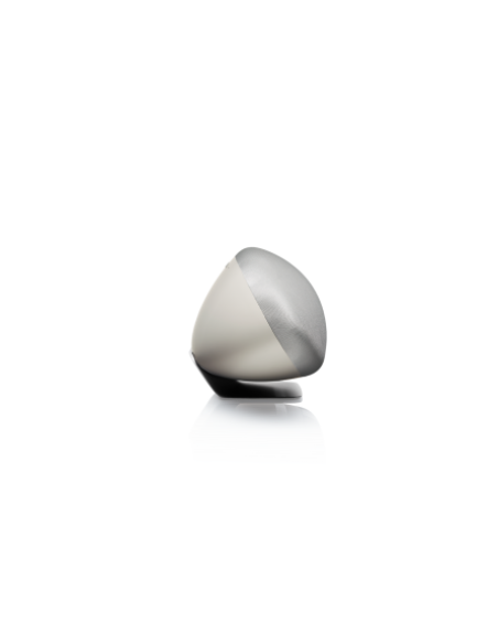 Bowers & Wilkins Zeppelin Gris