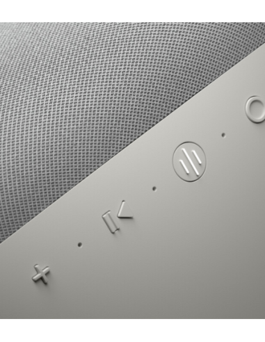 Bowers & Wilkins Zeppelin Gris