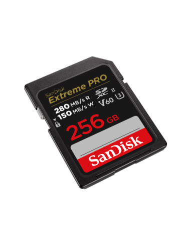 SanDisk SDSDXEP-256G-GN4IN memoria flash 256 GB SDXC UHS-II Clase 10