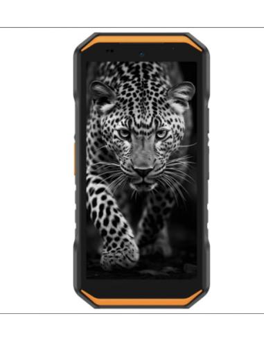ARMOR X32 / 6+128GB / ORANGE
