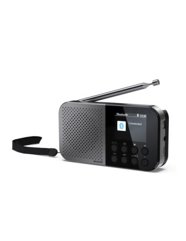 Sharp DR-P520 Personal Digital Gris