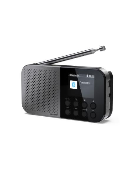 Sharp DR-P520 Personal Digital Gris