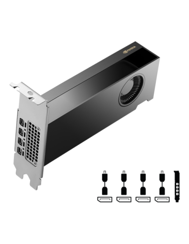 PNY NVIDIA RTX 2000 Ada Generation 16 GB GDDR6