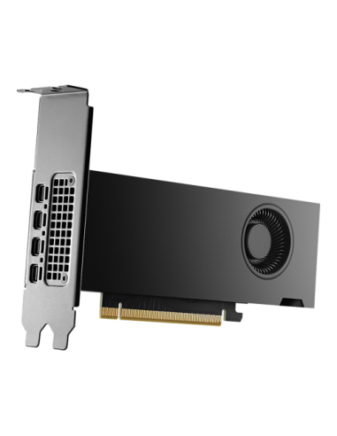 PNY NVIDIA RTX 2000 Ada Generation 16 GB GDDR6