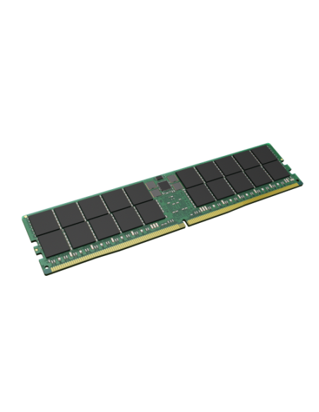 Kingston Technology KTL-TS556D4-64G módulo de memoria 64 GB 1 x 64 GB DDR5 ECC