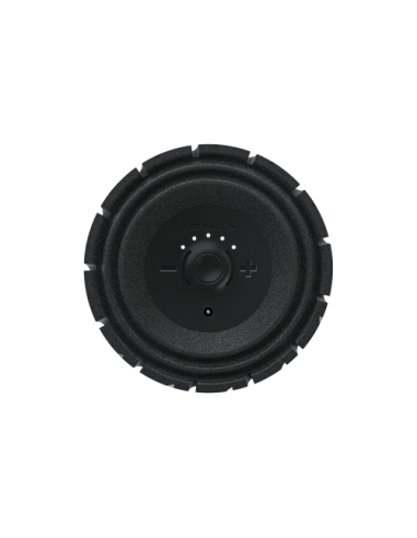 Theragun Roller masajeador Universal Negro