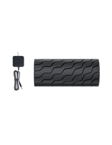 Theragun Roller masajeador Universal Negro
