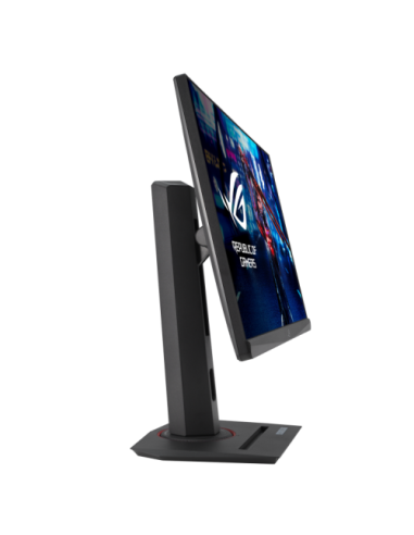 ASUS ROG Strix XG259QNS pantalla para PC 62,2 cm (24.5") 1920 x 1080 Pixeles Full HD LCD Negro