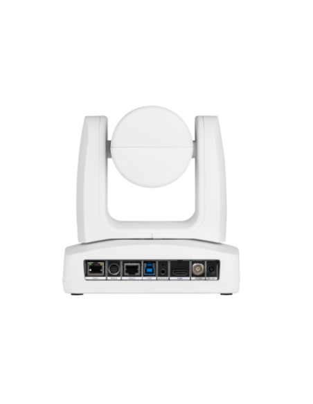 AVer PTZ211 2 MP Blanco 1920 x 1080 Pixeles 60 pps CMOS Exmor 25,4 / 2,8 mm (1 / 2.8")