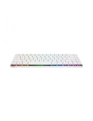 TECLADO ASUS FALCHION RX LP