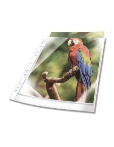 Durable 265502 protector de hojas A4 Polipropileno (PP) 25 pieza(s)